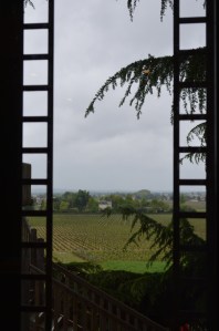 The vineyards at Franc Mayne
