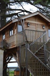 Treehouse at Franc Mayne
